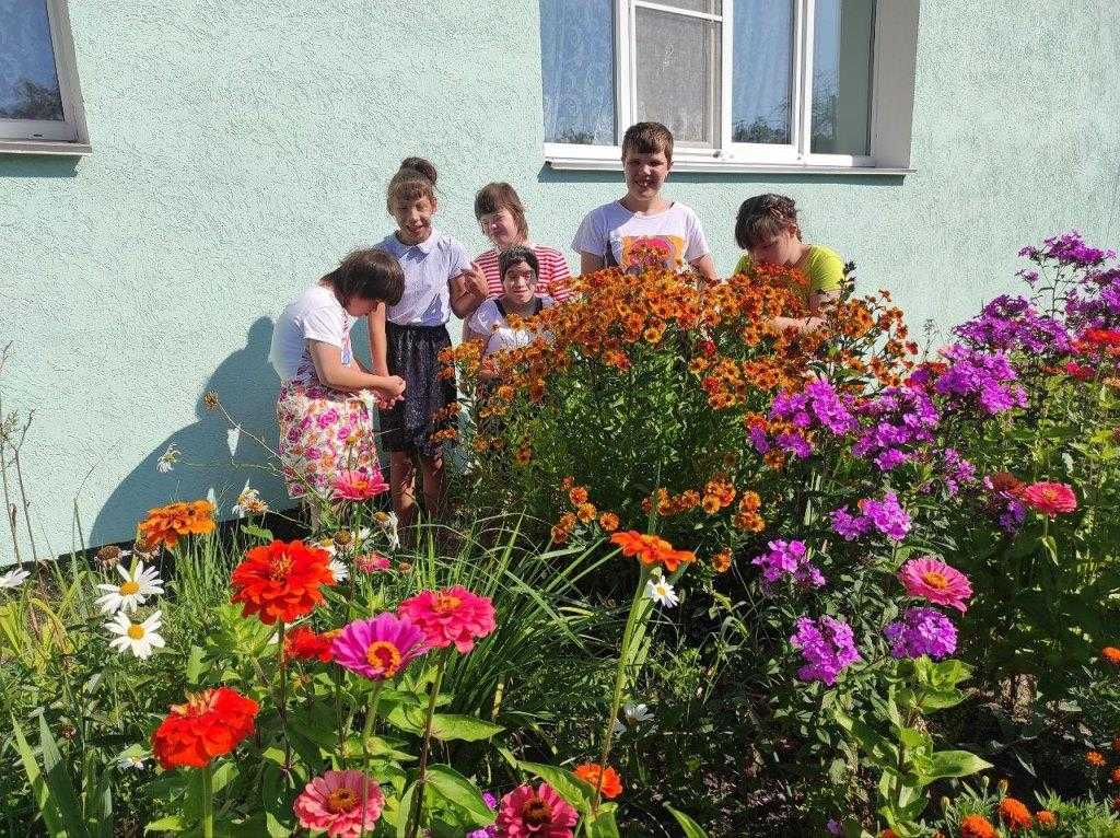 Путешествие в страну цветов.  