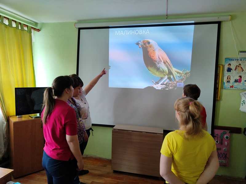 Наши пернатые друзья