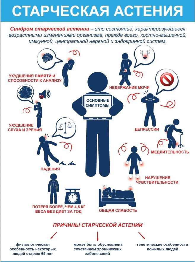 Беседа на тему :