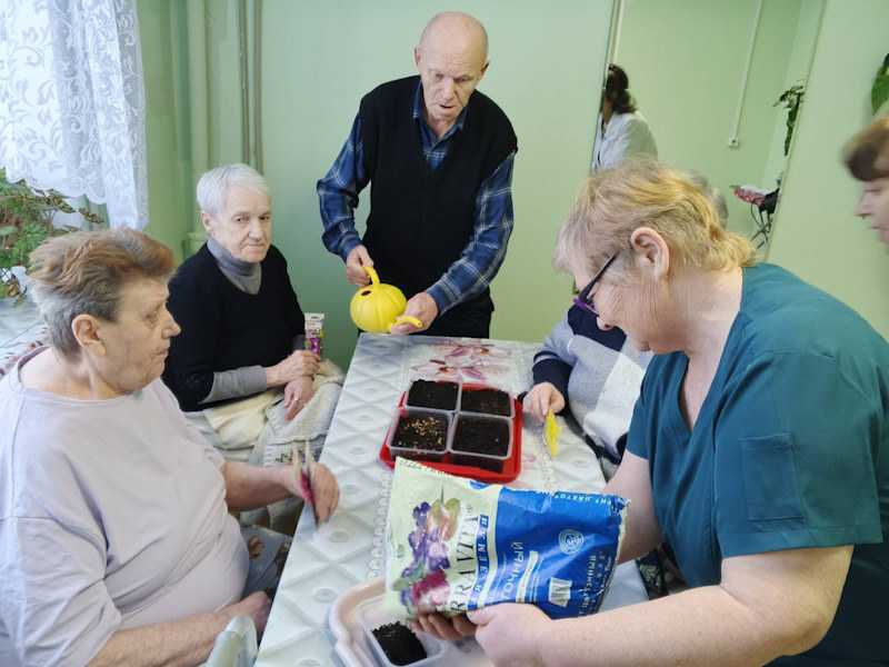 Гарденотерапия для пожилых людей.